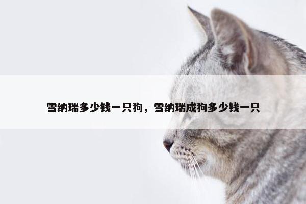 雪纳瑞多少钱一只狗，雪纳瑞成狗多少钱一只