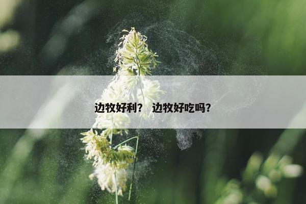 边牧好利？ 边牧好吃吗？