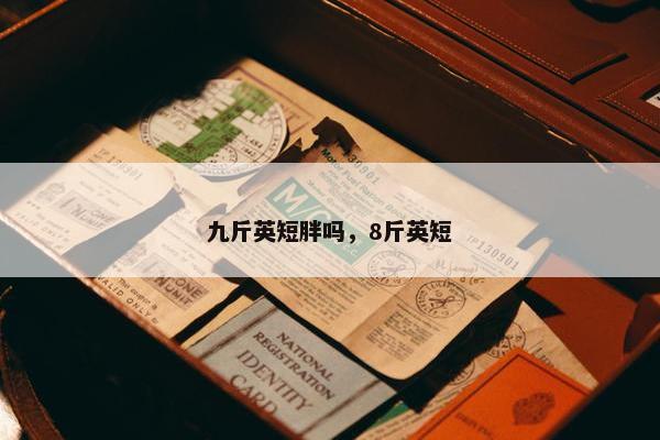九斤英短胖吗,8斤英短 九斤英短胖吗,8斤英短