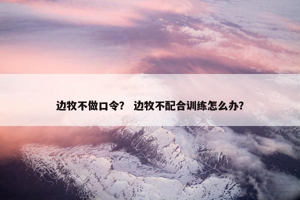 边牧不做口令？ 边牧不配合训练怎么办？