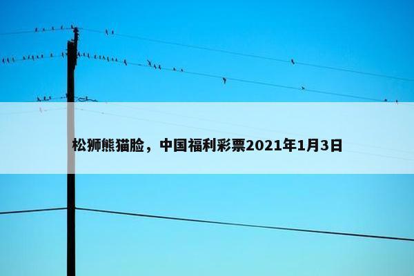 松狮熊猫脸，中国福利彩票2021年1月3日