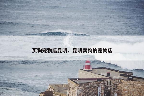 买狗宠物店昆明，昆明卖狗的宠物店