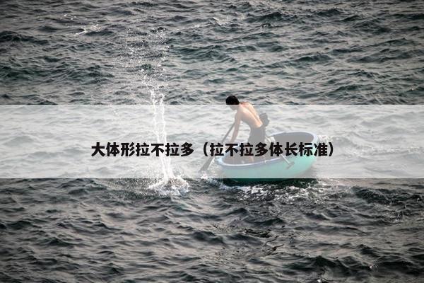 大体形拉不拉多（拉不拉多体长标准）