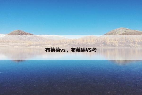 布莱德vs，布莱德VS考