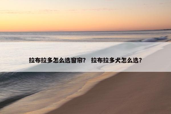 拉布拉多怎么选窗帘？ 拉布拉多犬怎么选？