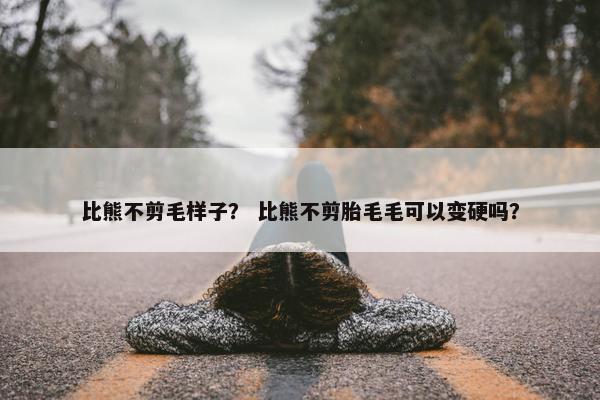 比熊不剪毛样子？ 比熊不剪胎毛毛可以变硬吗？