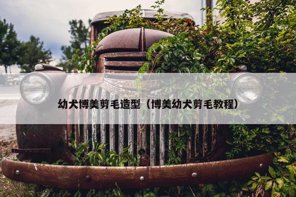 幼犬博美剪毛造型（博美幼犬剪毛教程）