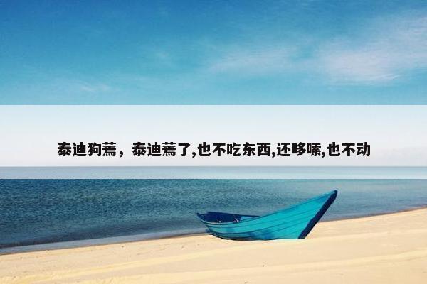 泰迪狗蔫，泰迪蔫了,也不吃东西,还哆嗦,也不动