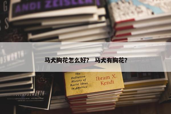 马犬胸花怎么好？ 马犬有胸花？