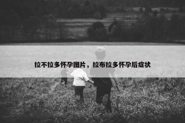 拉不拉多怀孕图片，拉布拉多怀孕后症状