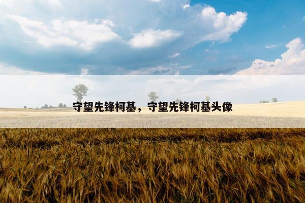 守望先锋柯基，守望先锋柯基头像