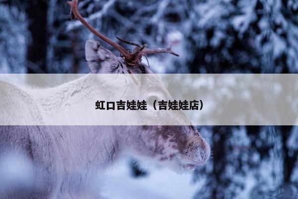 虹口吉娃娃（吉娃娃店）