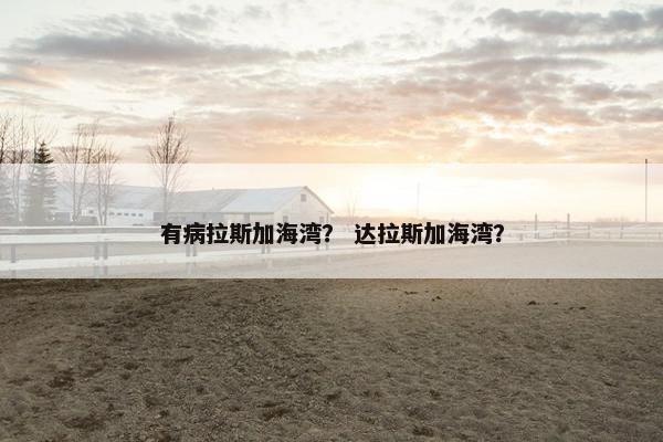 有病拉斯加海湾？ 达拉斯加海湾？