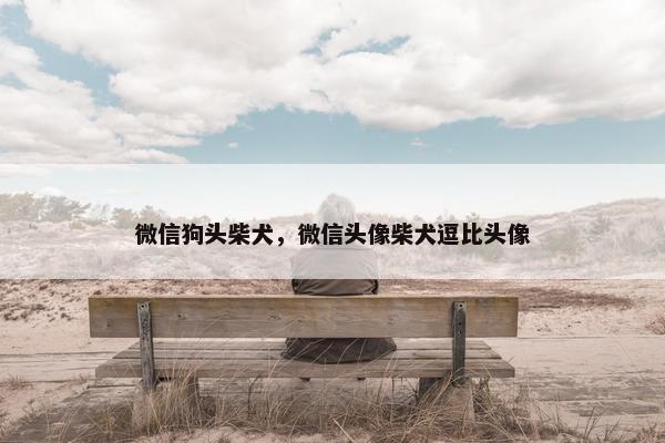 微信狗头柴犬，微信头像柴犬逗比头像