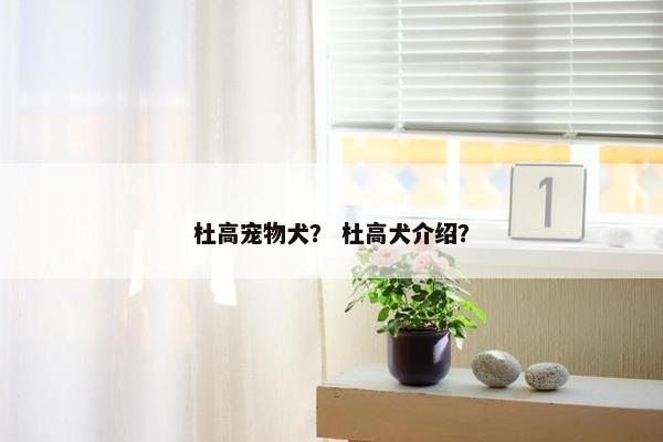 杜高宠物犬？ 杜高犬介绍？