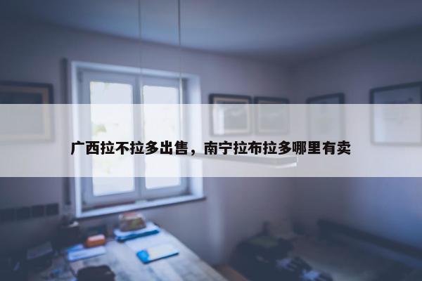 广西拉不拉多出售，南宁拉布拉多哪里有卖