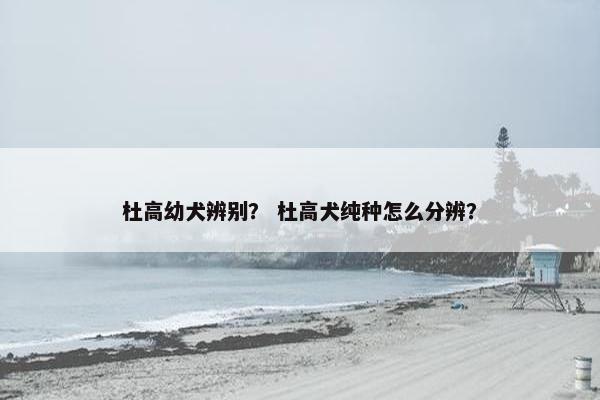 杜高幼犬辨别？ 杜高犬纯种怎么分辨？