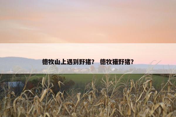 德牧山上遇到野猪？ 德牧猎野猪？