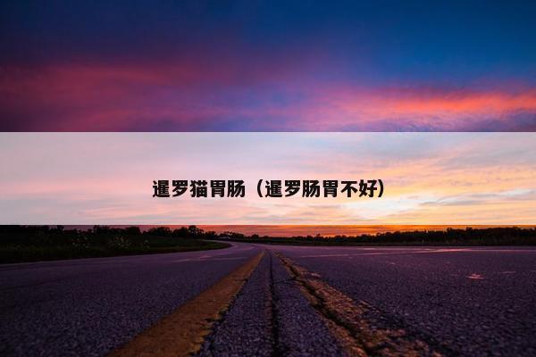 暹罗猫胃肠（暹罗肠胃不好）