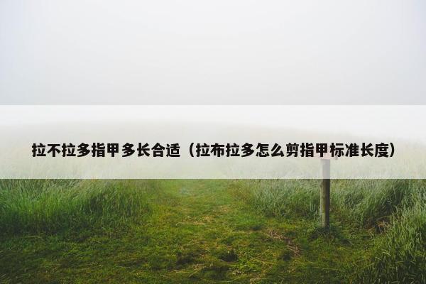 拉不拉多指甲多长合适（拉布拉多怎么剪指甲标准长度）