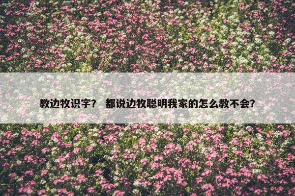 教边牧识字？ 都说边牧聪明我家的怎么教不会？