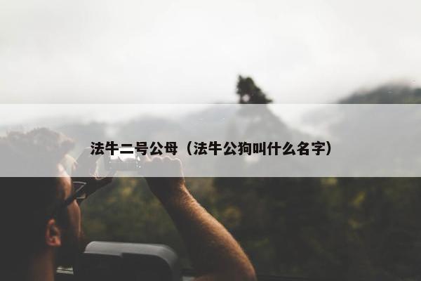法牛二号公母（法牛公狗叫什么名字）