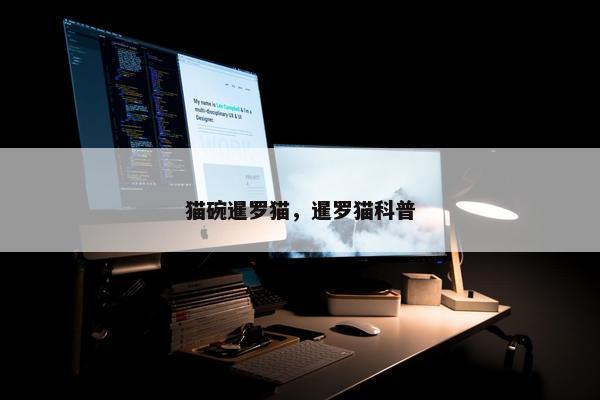 猫碗暹罗猫，暹罗猫科普