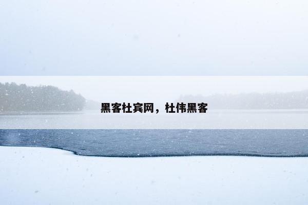 黑客杜宾网，杜伟黑客