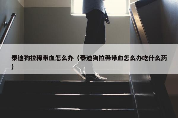 泰迪狗拉稀带血怎么办（泰迪狗拉稀带血怎么办吃什么药）
