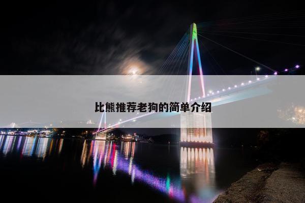 比熊推荐老狗的简单介绍