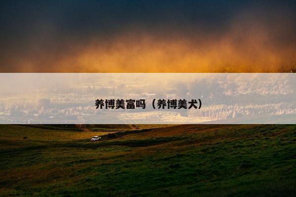 养博美富吗（养博美犬）