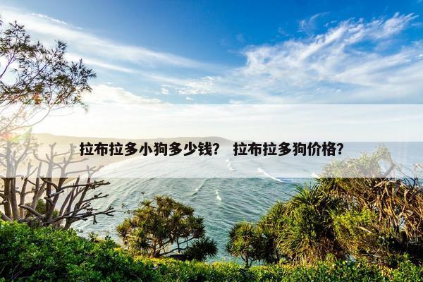 拉布拉多小狗多少钱？ 拉布拉多狗价格？