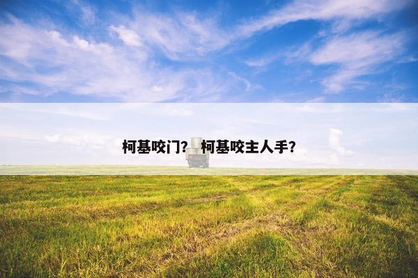 柯基咬门？ 柯基咬主人手？