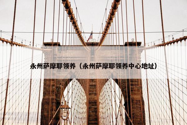 永州萨摩耶领养（永州萨摩耶领养中心地址）