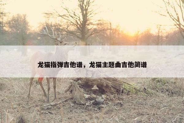 龙猫指弹吉他谱，龙猫主题曲吉他简谱