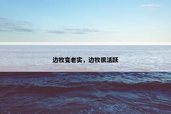 边牧变老实，边牧很活跃