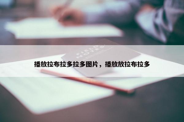 播放拉布拉多拉多图片，播放放拉布拉多