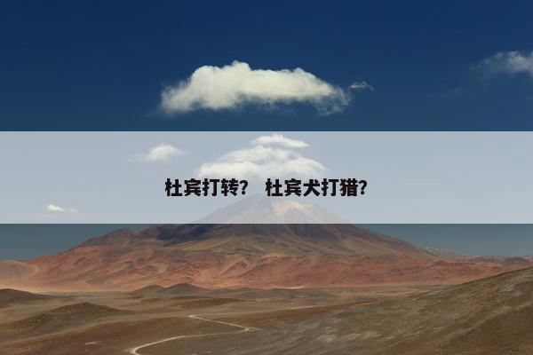 杜宾打转？ 杜宾犬打猎？