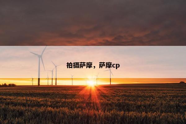 拍摄萨摩，萨摩cp