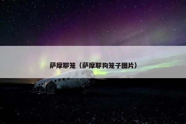 萨摩耶笼（萨摩耶狗笼子图片）