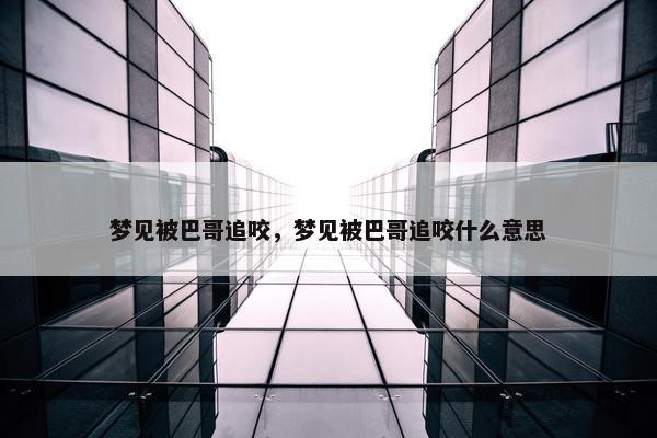 梦见被巴哥追咬，梦见被巴哥追咬什么意思