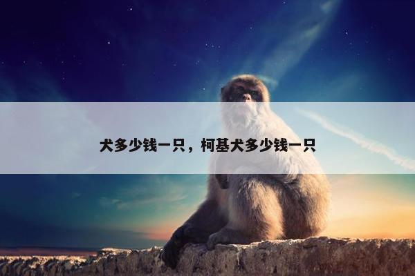 犬多少钱一只，柯基犬多少钱一只