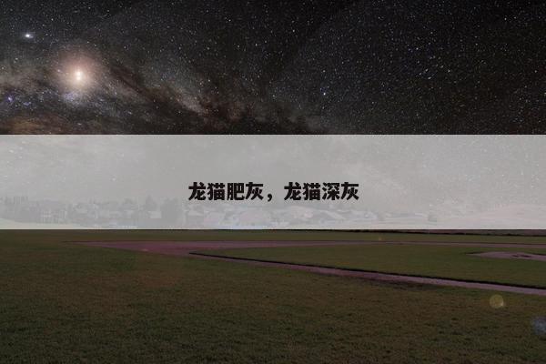 龙猫肥灰，龙猫深灰