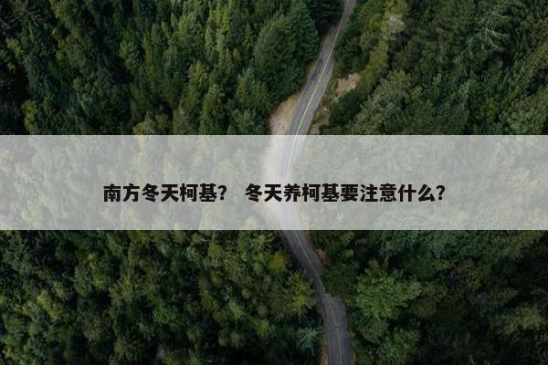 南方冬天柯基？ 冬天养柯基要注意什么？
