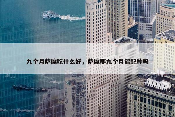 九个月萨摩吃什么好，萨摩耶九个月能配种吗