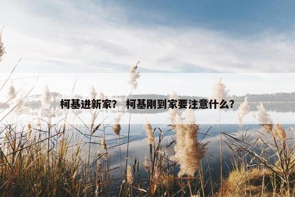 柯基进新家？ 柯基刚到家要注意什么？