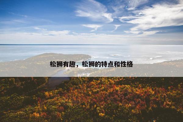 松狮有趣，松狮的特点和性格
