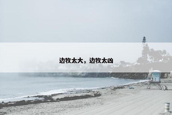 边牧太大，边牧太凶