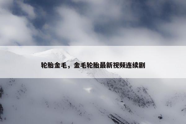 轮胎金毛，金毛轮胎最新视频连续剧