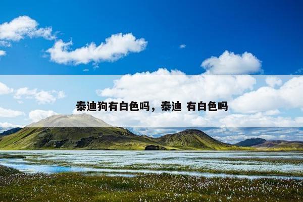 泰迪狗有白色吗，泰迪 有白色吗